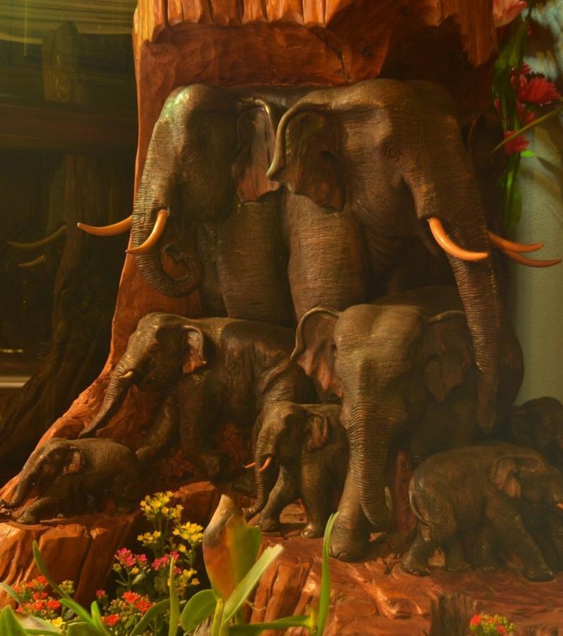 หมื่นช้างน่านบูทีคhotel Luaran gambar